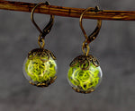 Real moss earrings- Green Iceland moss plants Earrings- VINOHR-17