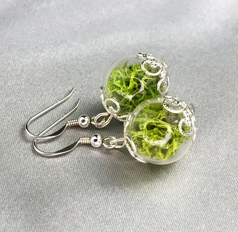 Real Moos Earrings-925 Sterling Silver Jewelry-Botanical Terrarium Earrings-OHR925-10