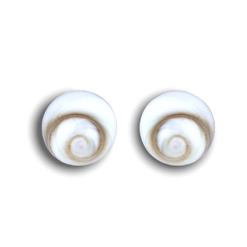 Shiva Eyes Mini Stud Earrings - 925 Sterling Silver Minimalist Shell Ocean Maritime Jewelry - Ear925-77