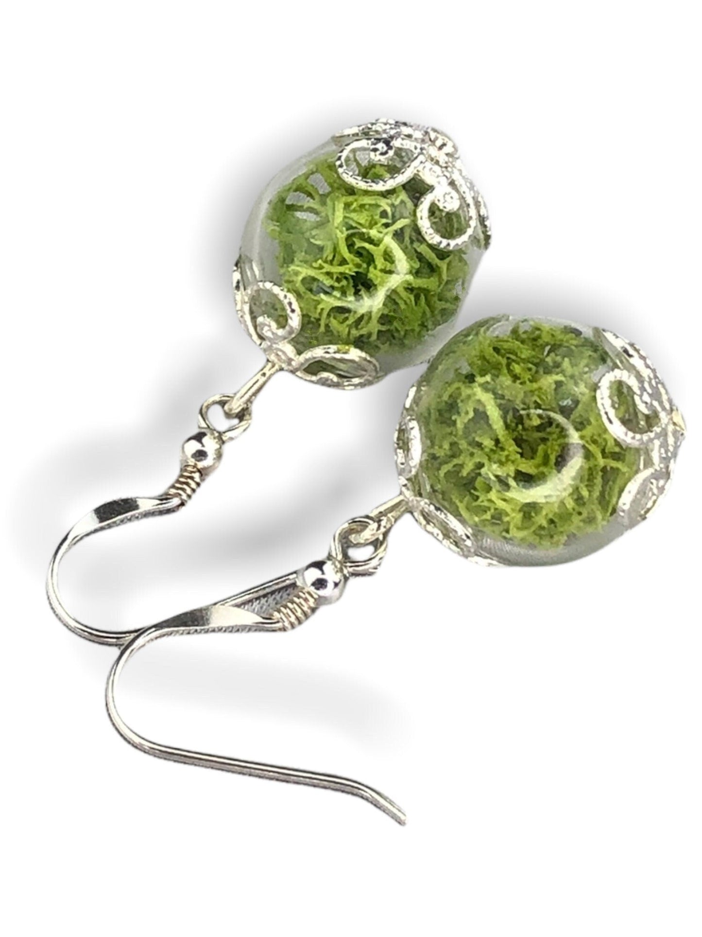 Real Moos Earrings - 925 Sterling Silver Jewelry - Botanical Terrarium Earrings - Ear925-10