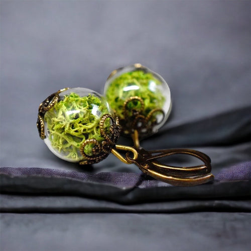 Real moss earrings- Green Iceland moss plants Earrings- VINOHR-17