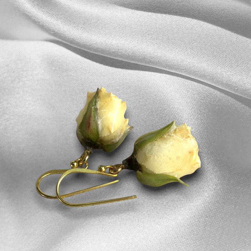 925 sterling gold-plated earrings with real roses - Ear925-127